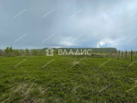 selo-ostankino-gorodskoy-okrug-bor фото