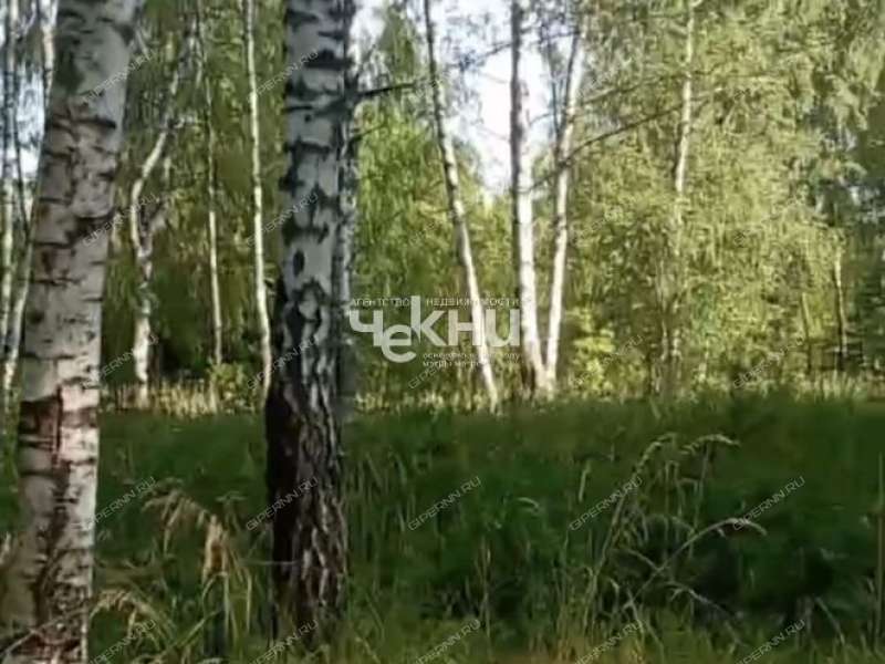 земельный участок 100 соток деревня Досадино