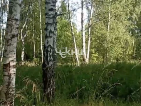 derevnya-dosadino-vadskiy-municipalnyy-okrug фото